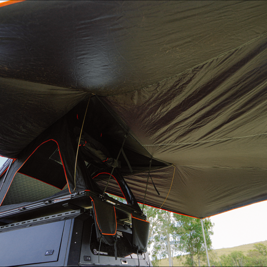 V9 Annex
